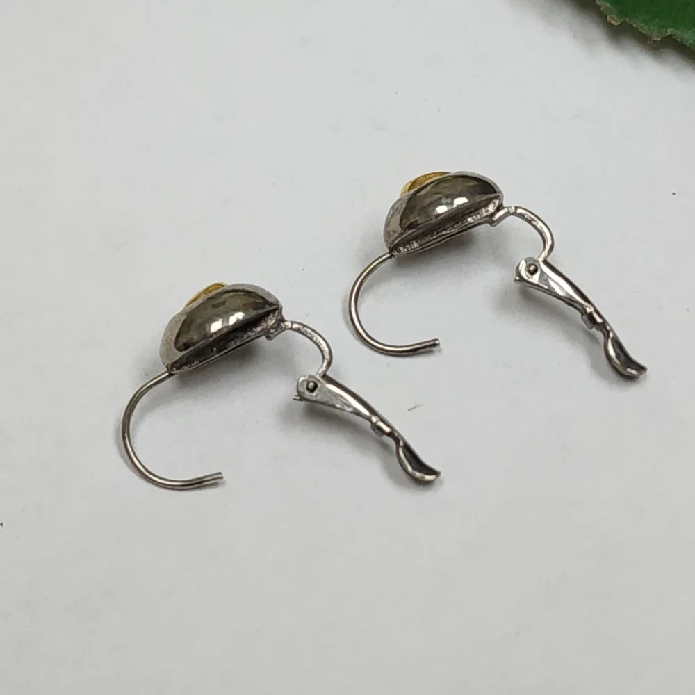 Two Toned Silver Toned and Gold Toned Circle Lever Back Earrings